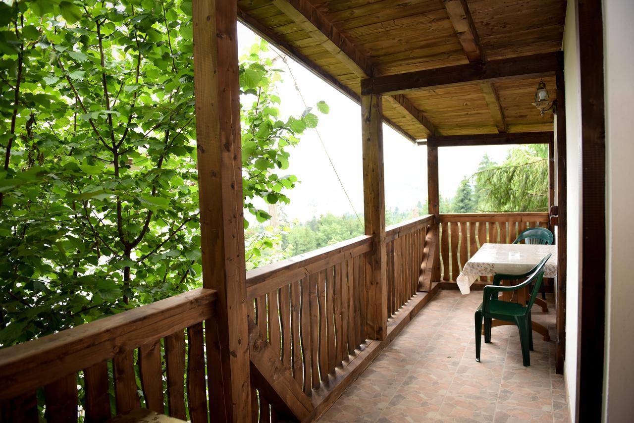 Casa Edy Hotel Colibiţa Eksteriør billede